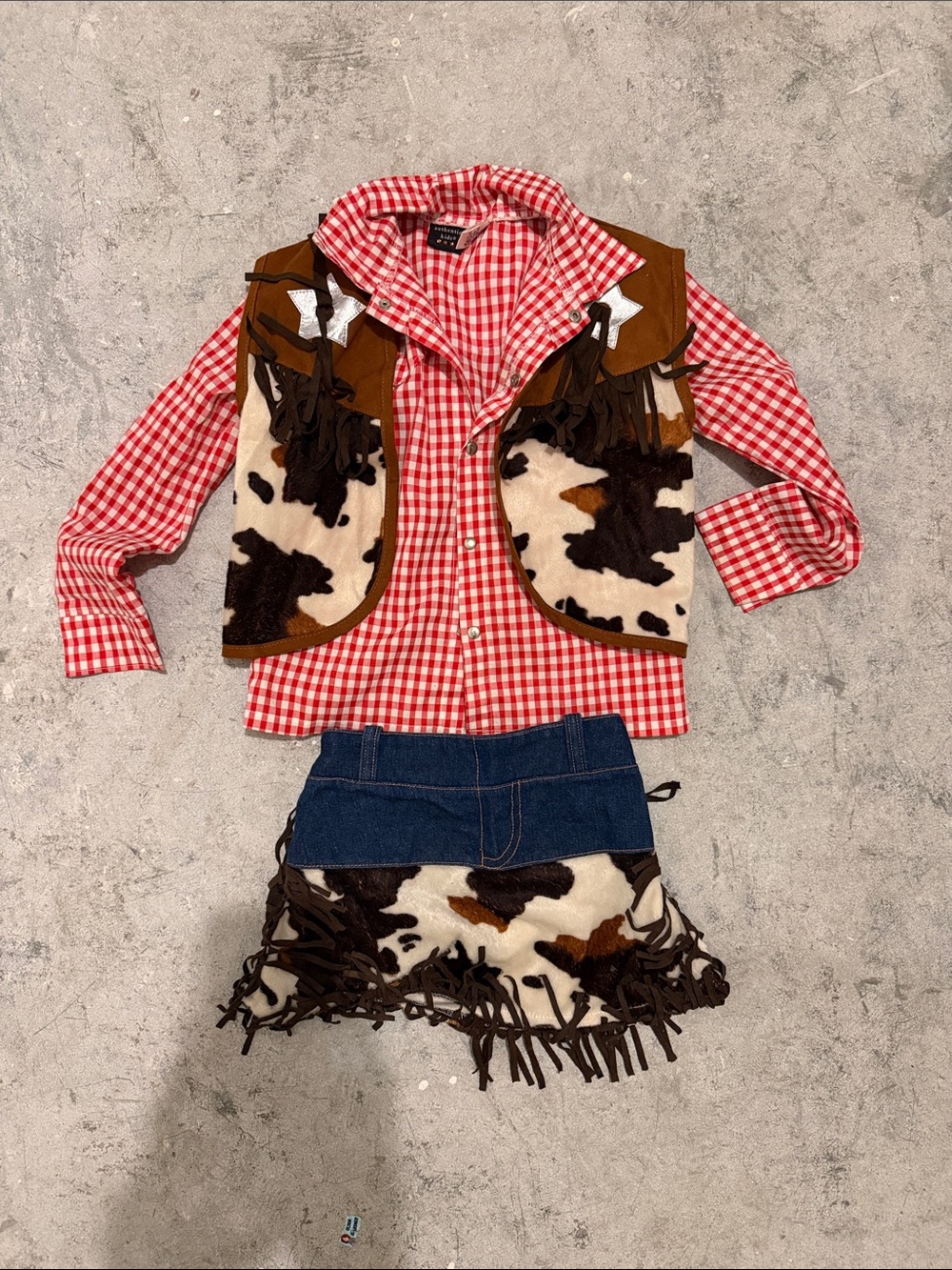 Kids Red Gingham Cowgirl Costume Set with Cowhide Vest and Fringe